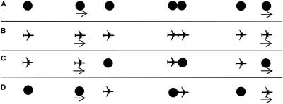 The Causal and Force Perception and Their Perceived Asymmetries in Flight Collisions